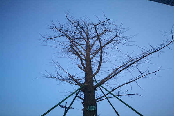 提“氣”質(zhì)丨打造2.0版本，實現(xiàn)“大數(shù)據(jù)”精準治污