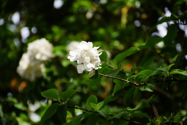 重慶市生態(tài)環(huán)境監(jiān)測(cè)中心打造“美麗水源E衛(wèi)士”系統(tǒng)：守護(hù)超大城市飲水安全防線(xiàn)