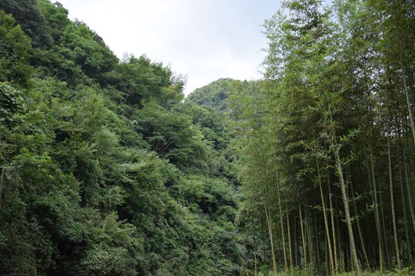 衡水市繪就“藍(lán)天碧水凈土”新畫(huà)卷